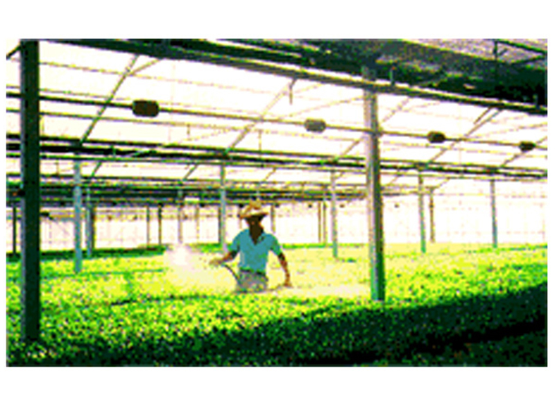 K.Yih Chern Corp.CO.,LTD.:: AGRICULTURAL APPLIED PRODUCTS-Scene2