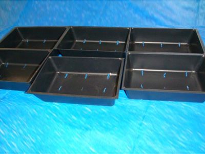 6 cell seed tray